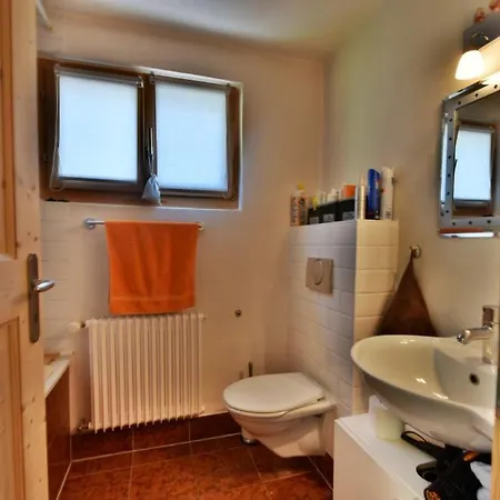 7 Nains Appt Lejlighed Champéry